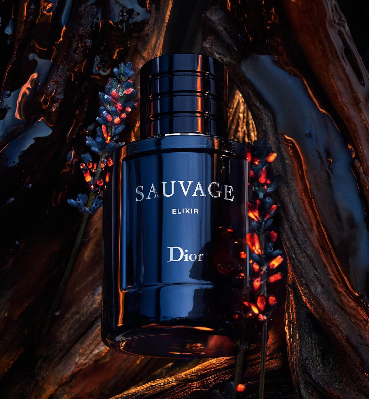 Dior Sauvage Elixir Parfum for Men – Long Lasting Luxury Fragrance